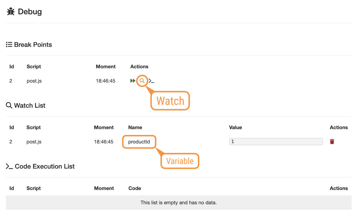 Debug - Watch